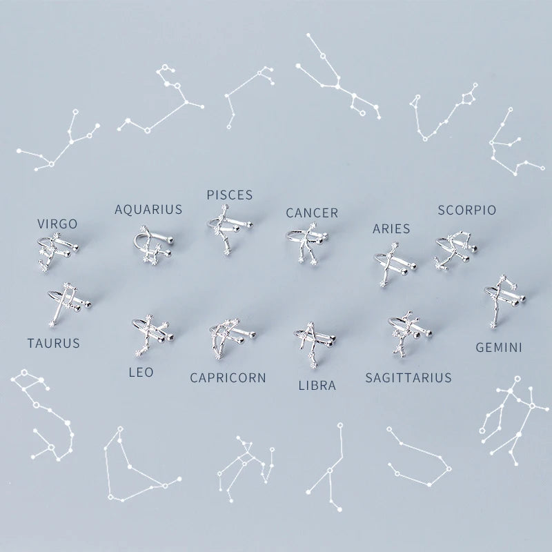 Silver hoops design showing twelve zodiac signs in 925 silver