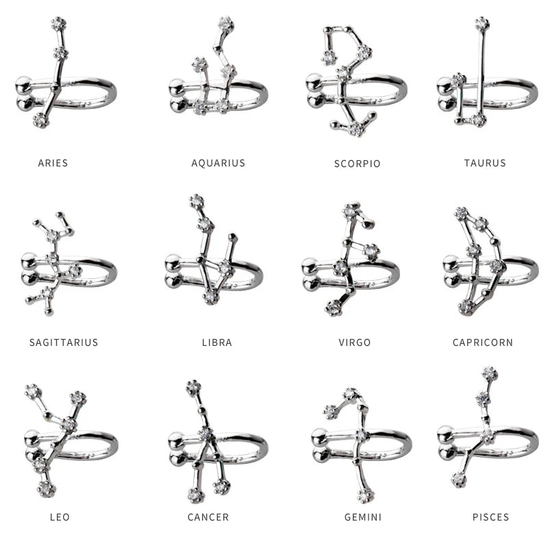 Twelve zodiac signs clip on earrings in 925 sterling silver