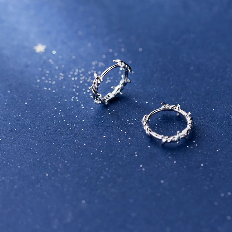 Hoop earrings in silver arranged with sterling silver earrings