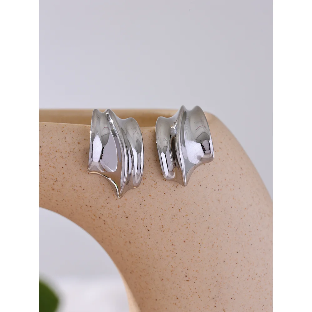 Geometric Stainless Steel Hoop Earrings