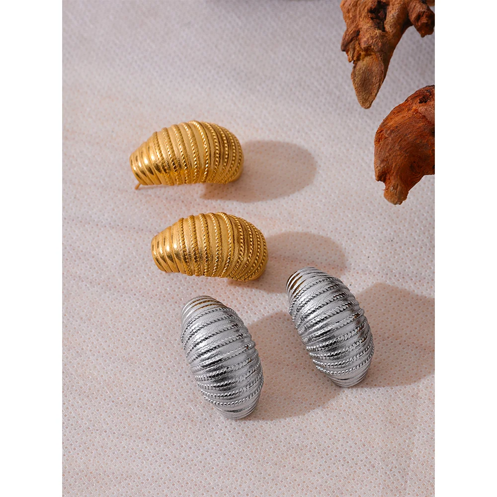 Geometric Croissant Stripe Earrings in Stainless Steel