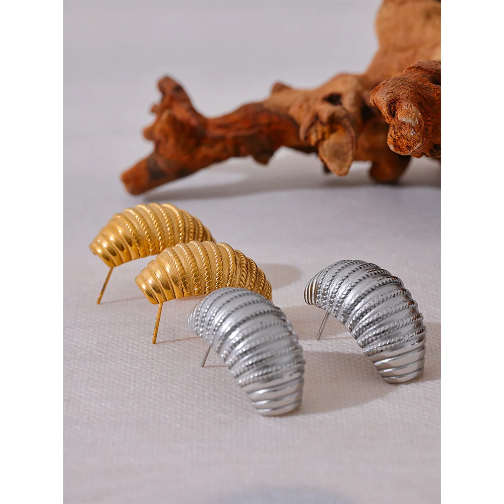 Geometric Croissant Stripe Earrings in Stainless Steel